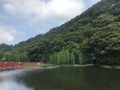-广州市石门国家森林公园