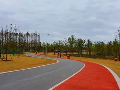 -上海长兴岛郊野公园