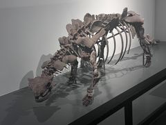 -大连自然博物馆