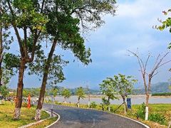 -罗浮山嘉宝田森林温泉度假酒店