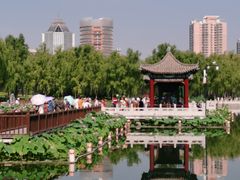 -莲花池公园