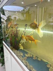 -可优蜜儿童摄影