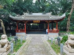 -中山公园
