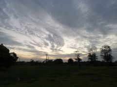 -两河城市森林公园