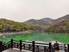 -白马涧龙池景区