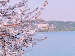 -颐和园