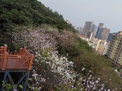 -小南山公园