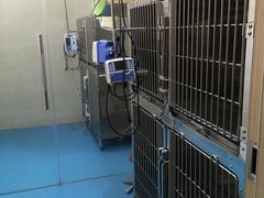 -仁华宠物医院(青羊店)