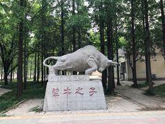 -曲阜师范大学(曲阜校区)