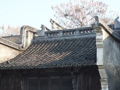 -乌镇景区