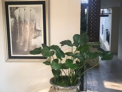 -清迈菩提塞雷纳