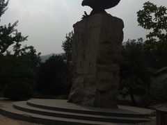 -北京鹫峰国家森林公园