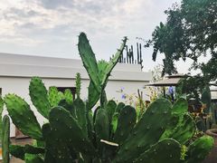 -悦哉·派对·草坪婚礼·围炉煮茶(三圣乡店)