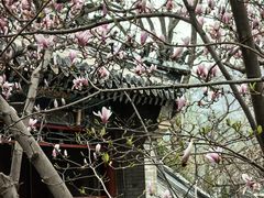 -潭柘寺景区