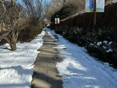 -元大都城垣遗址公园