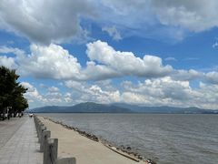 -深圳湾公园(南山区)
