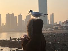-青岛海滨风景区