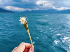 -丽江泸沽湖景区