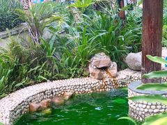 -嘉和K6温泉微度假