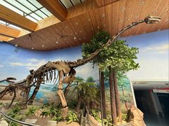 -延庆地质公园博物馆