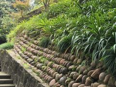-忠山公园