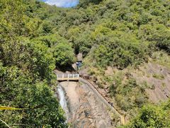 -广州白江湖森林公园