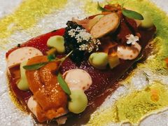 -蝶舍·MAISON PAPILLON