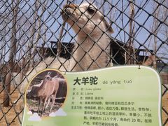 -大连森林动物园