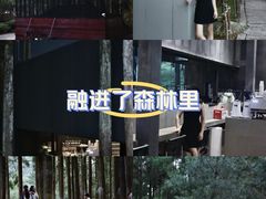 -玉苍山国家森林公园