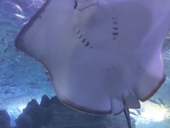 -多彩贵州城极地海洋世界