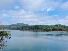 -凤岗南门山森林公园