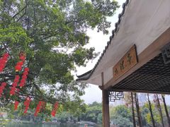 -荔湾湖公园