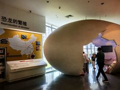 -安徽省地质博物馆