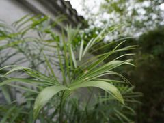 -丝绸小镇荻港古村