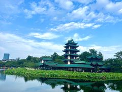 -桂湖森林公园