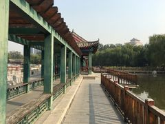 -莲花池公园