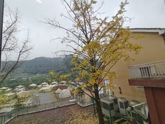 -重庆南山海昌汤都