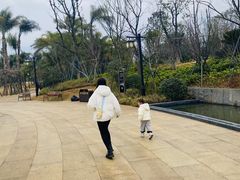 -江心屿景区