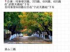 -八大关景区