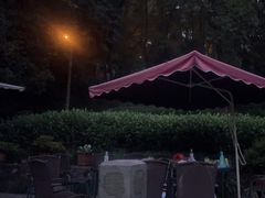 -嘉龙茶庄