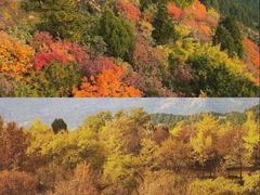 -香山公园