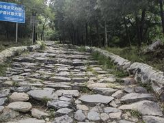 -阳台山自然风景区