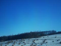 -长白山万达国际滑雪场