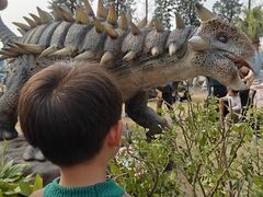 -自贡恐龙博物馆