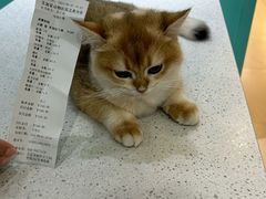 -美迦爱-牙专科·兔科·骨科诊疗中心(北苑店)
