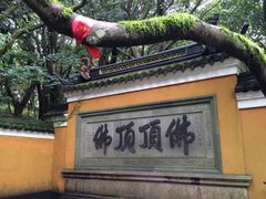 -普陀山慧济禅寺