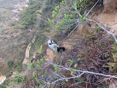 -板樟山森林公园
