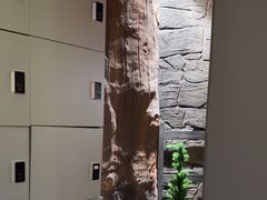 -暴风岛沉浸式体验馆(百联世纪店)