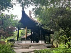 -扬州大运河文化旅游度假区·盆景园