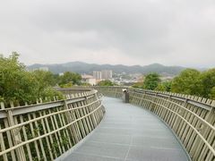 -福道